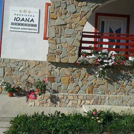 Pensiunea Agroturistica Ioana Bradulet Ngoại thất bức ảnh