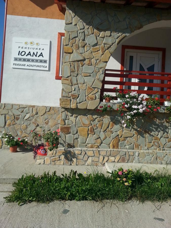 Pensiunea Agroturistica Ioana Bradulet Ngoại thất bức ảnh