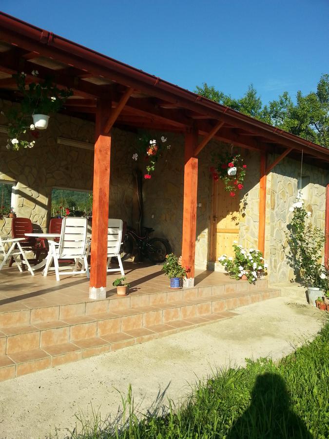 Pensiunea Agroturistica Ioana Bradulet Ngoại thất bức ảnh